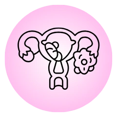 Ovulation induction icon